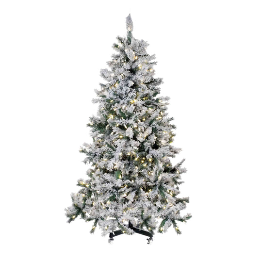 Spruce Snow-Capped Tree Collection