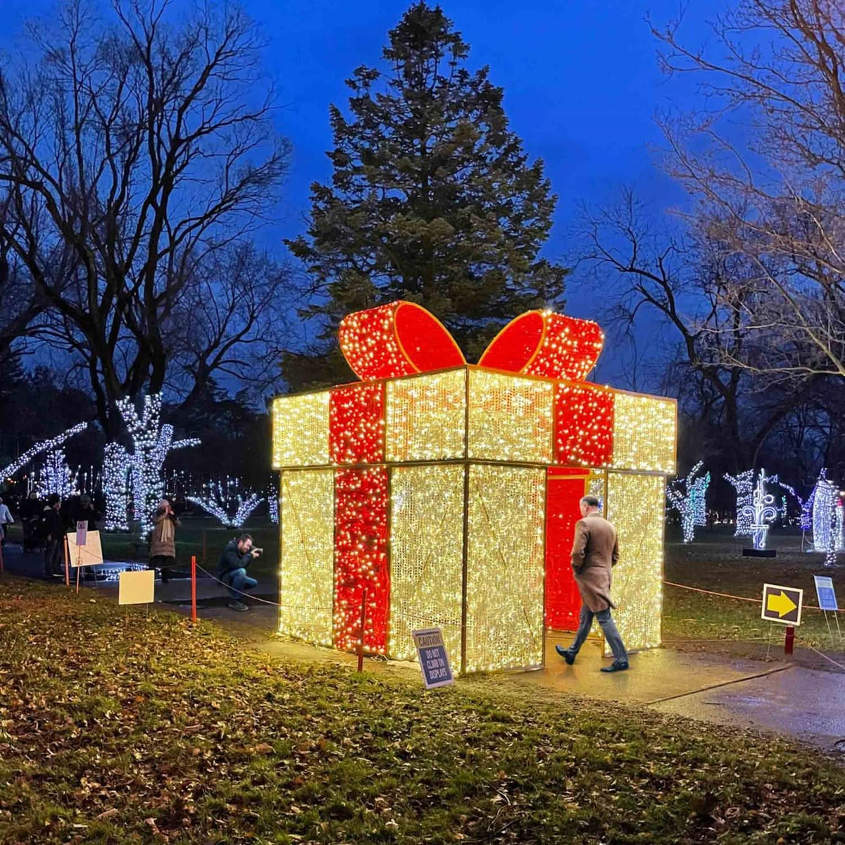 A walkthrough Christmas light display in the shape of a giant gift box. The box is decorated with red and warm white mini lights and is large enough for people to walk through.