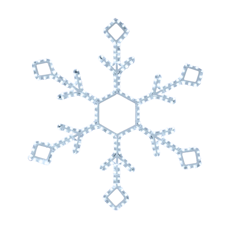 Tipuani Snowflake
