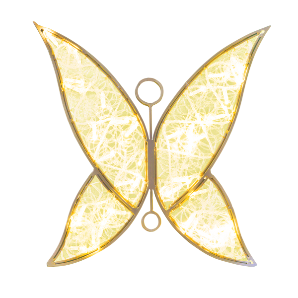Touranga Illuminated Wings
