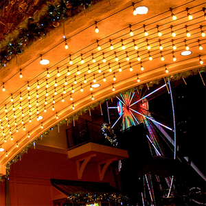 Vintage LED Bulbs with 4 LEDs