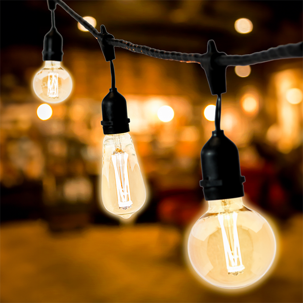 Dekra-Lite Vintage LED Bulbs w/ 4 LEDs All Types on Wire Strand