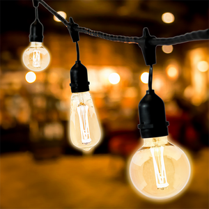 Vintage LED Bulbs with 4 LEDs
