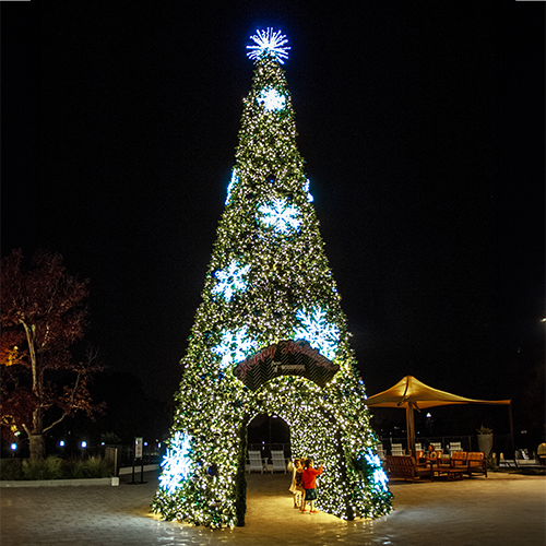 A large 40' Sequoia Tree, with a wide base and narrow top. The tree is decorated with many strands of warm white lights. The center of the tree is hollowed out to create a tunnel-like opening. The tunnel is decorated with lights, creating a winter wonderland scene.