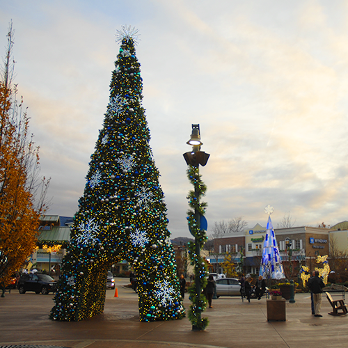 A large 40' Sequoia Tree, with a wide base and narrow top. The tree is decorated with many strands of warm white lights. The center of the tree is hollowed out to create a tunnel-like opening. The tunnel is decorated with lights, creating a winter wonderland scene.