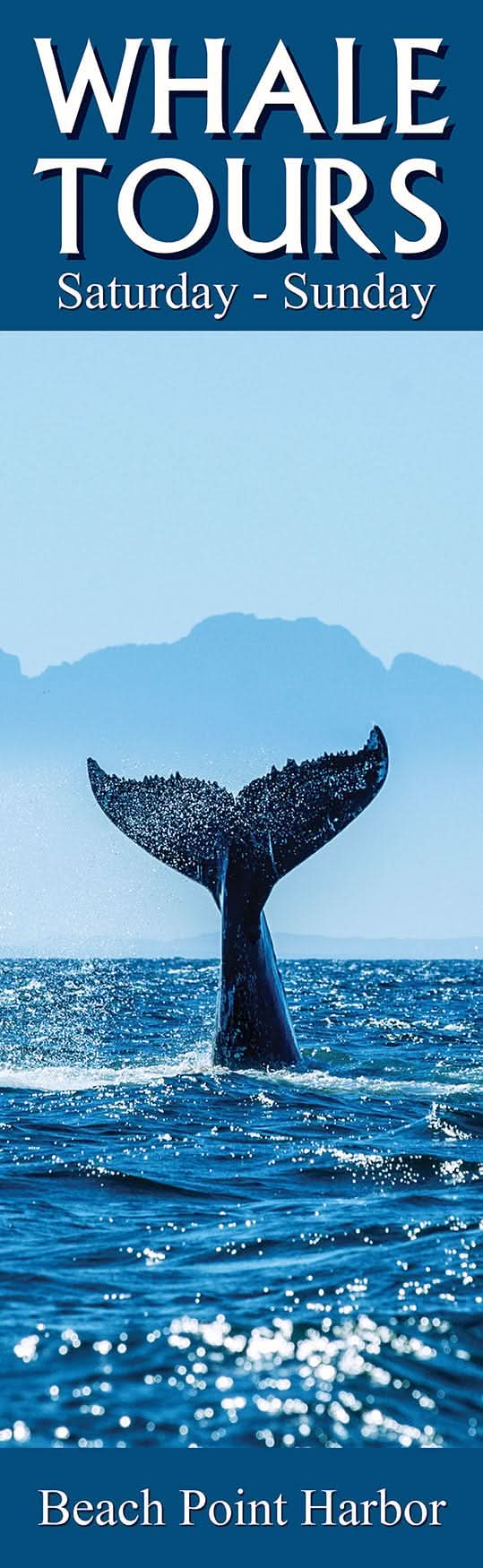 Whale Tours Single Vinyl Banner