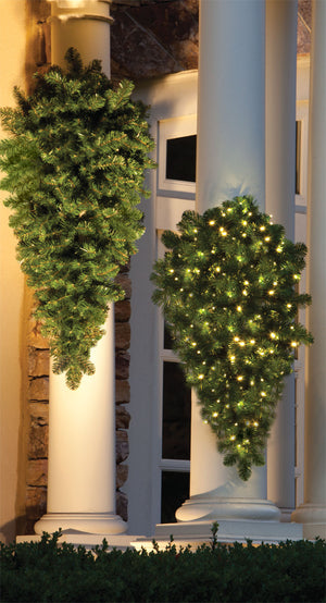 Olympia Pine Column Sprays