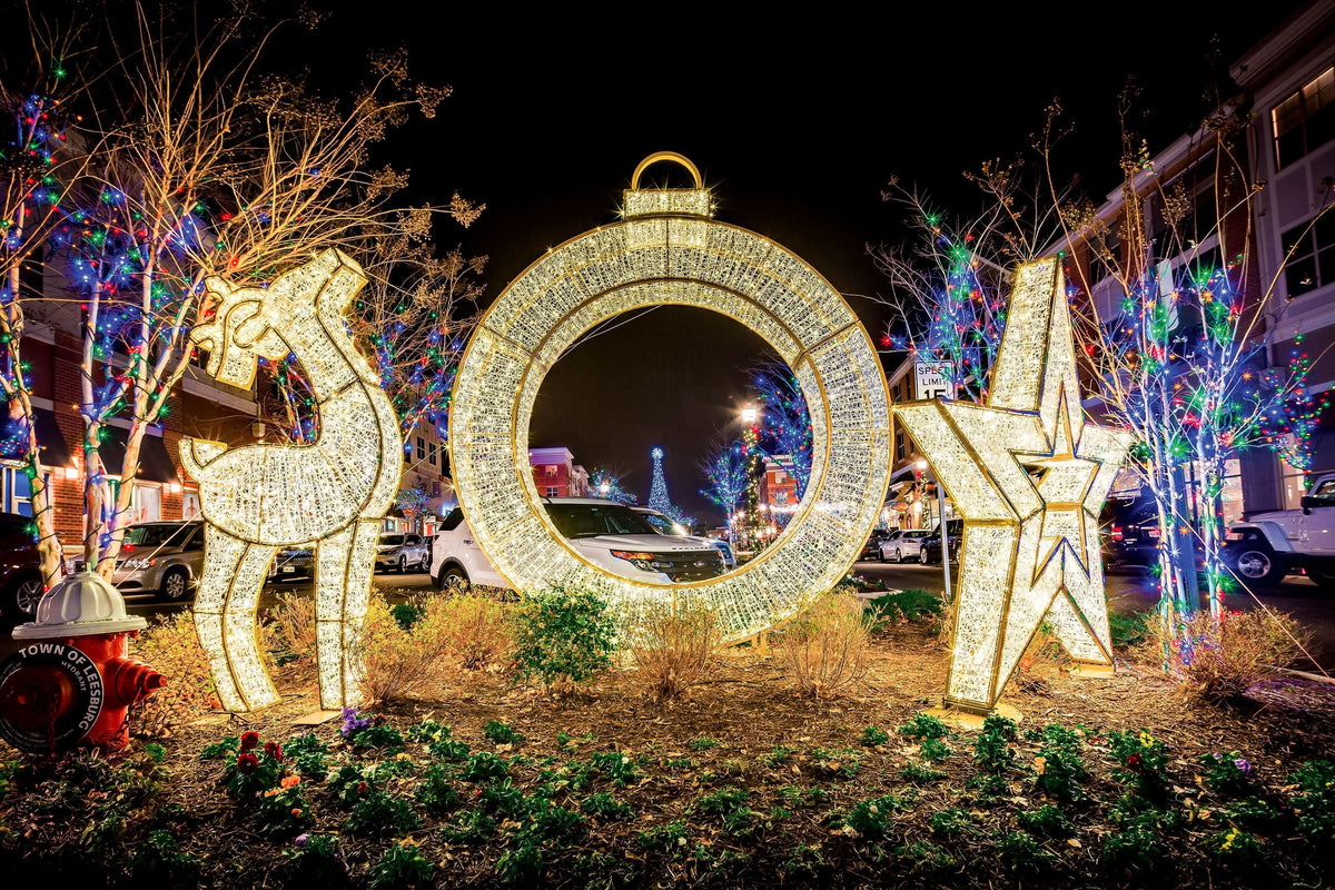 Dekra-Lite Warm White Regal Waterloo Rings Outdoor Holiday Display