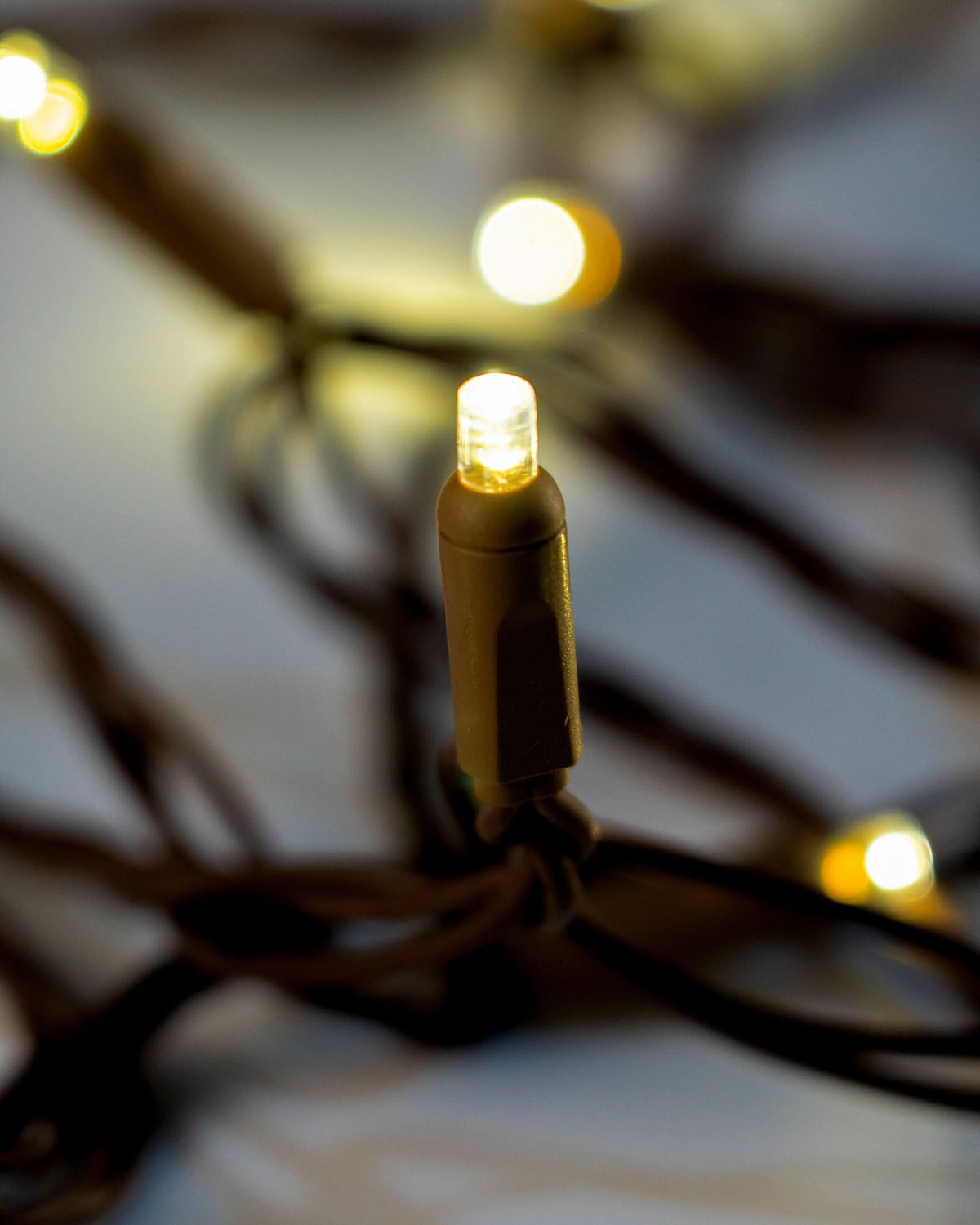 Dekra-Lite 5 mm Reflective LED Mini Lights with Brown Wire Close Up