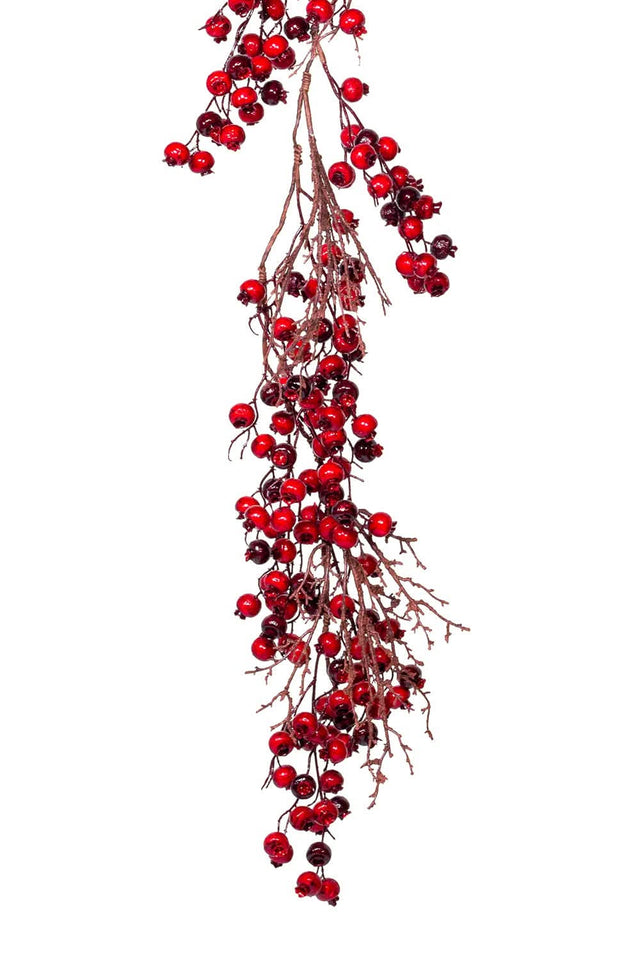 Dekra-Lite Red Berry Branch Close Up