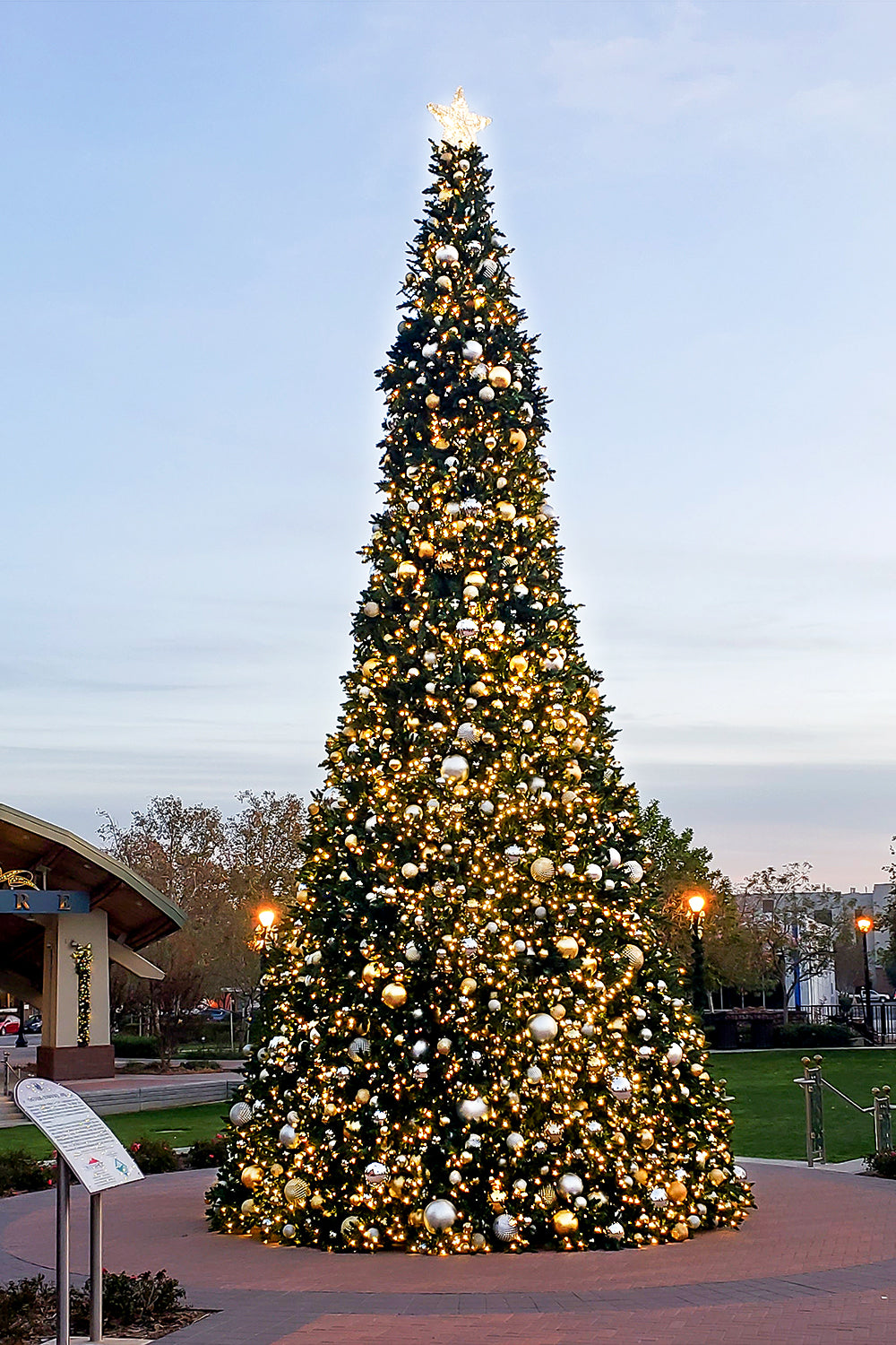 Dekra-Lite Sequoia Christmas Tree Decorated w/ Gold Ornaments