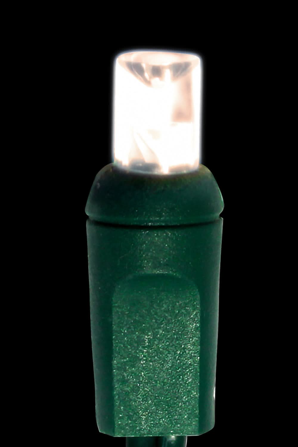 Firefly bulbs hotsell
