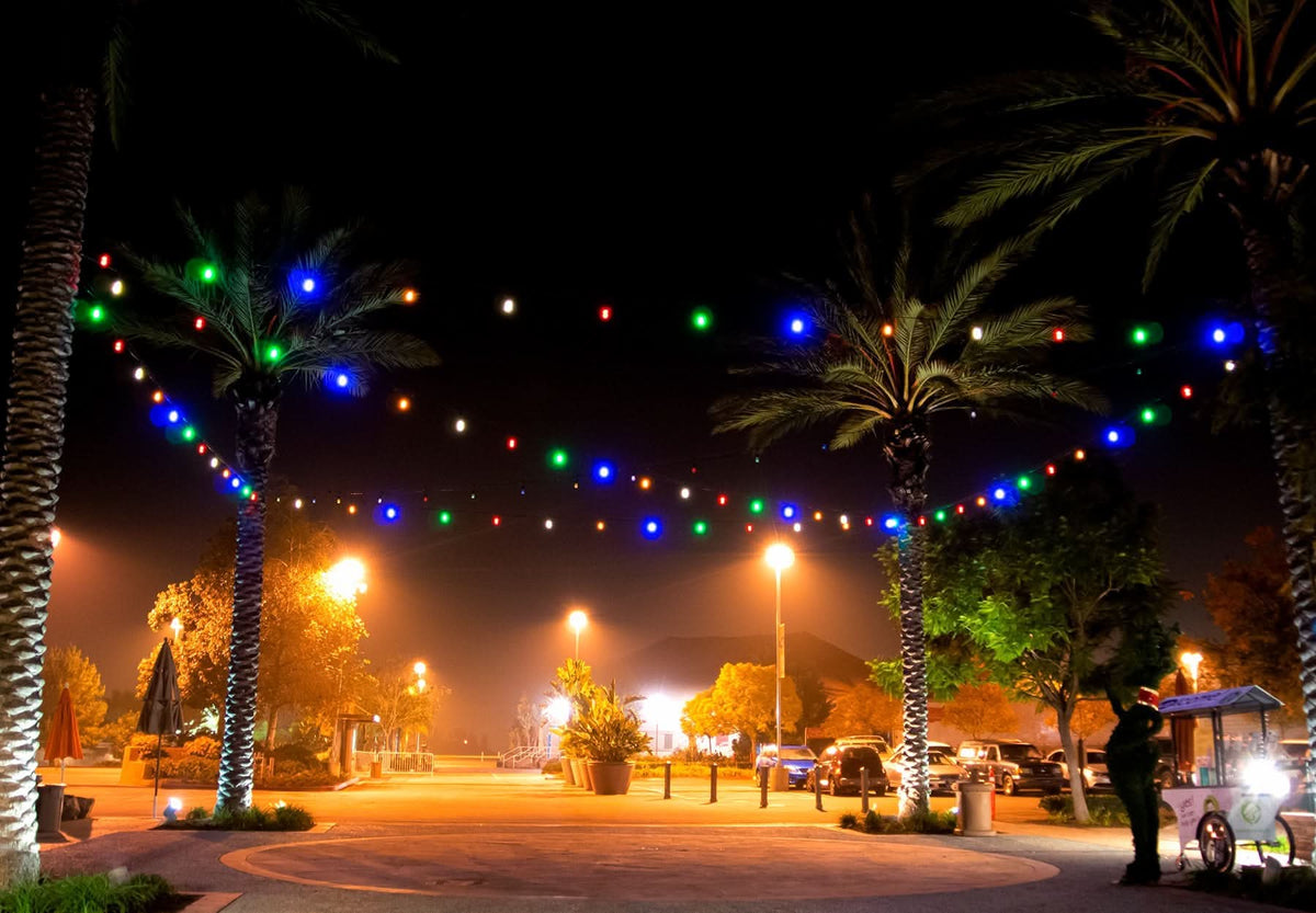 Dekra-Lite LED Frosted Globe Bulbs All Colors Hanging in a Plaza