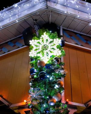LED Ropelight Crystal Snowflake