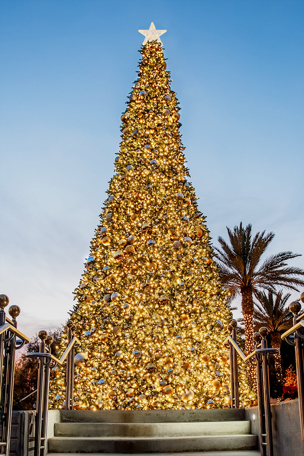 Dekra-Lite Low Voltage Sequoia Tree