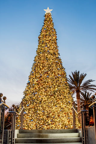 Dekra-Lite Low Voltage Sequoia Tree