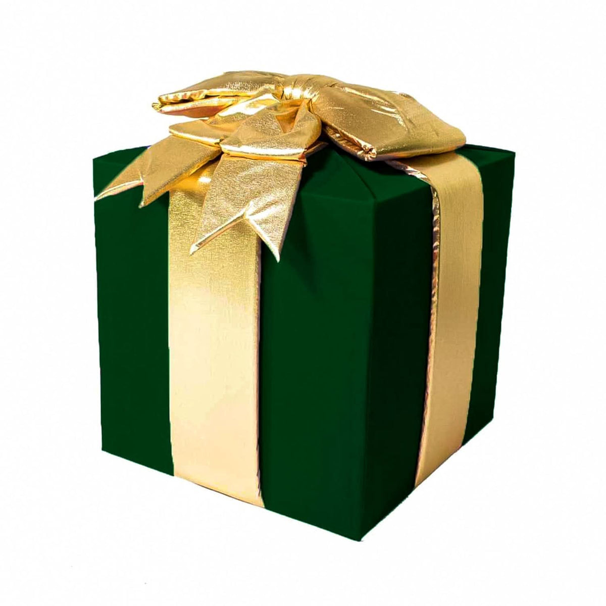 Dekra-Lite Green Nylon Gift Box