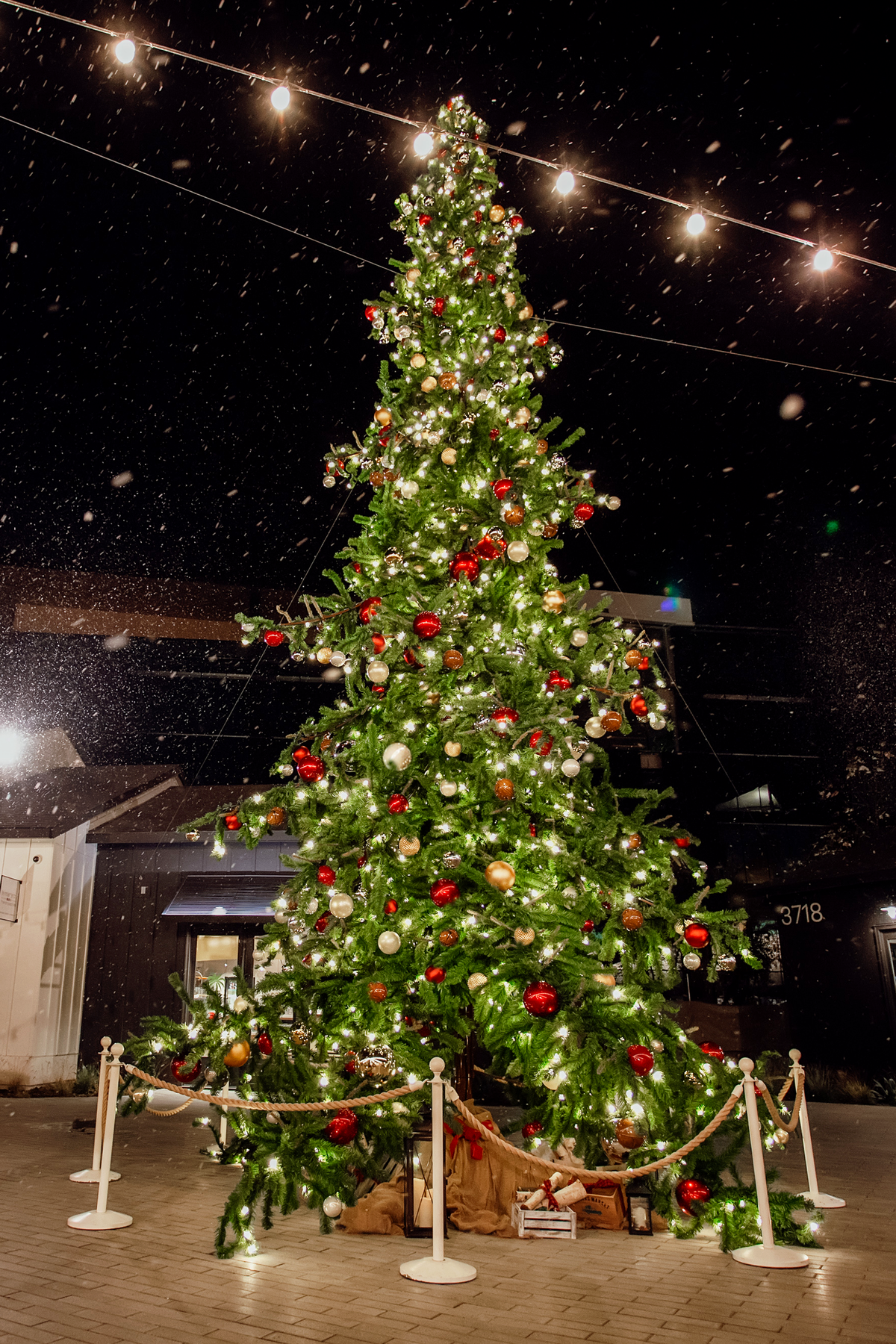 Dekra-Lite Decorated Sherwood Tree w/ Red Ornaments