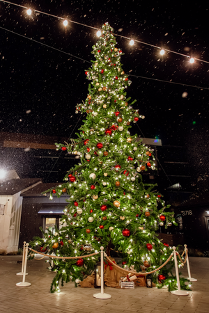 Sherwood Tree Collection