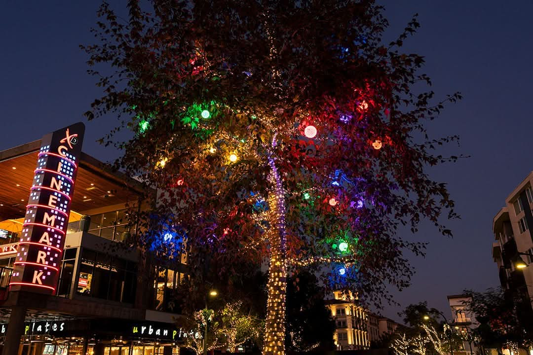 Dekra-Lite Led Light Spheres All Colors on Tree