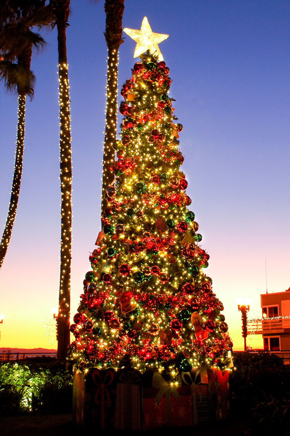 Dekra-Lite Lit Sequoia Christmas Tree Decorated in Classic Theme