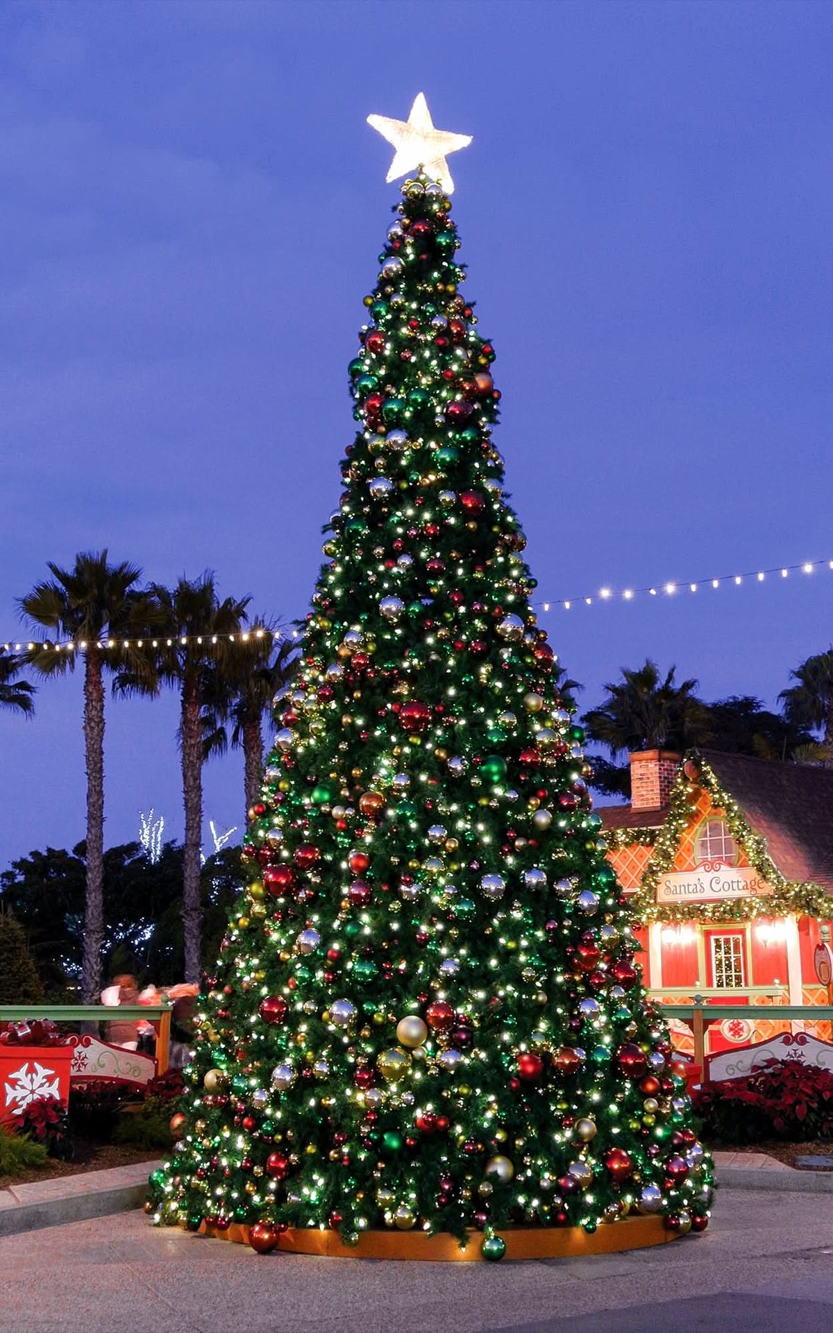 Dekra-Lite Seaworld Crystal Star Tree Topper