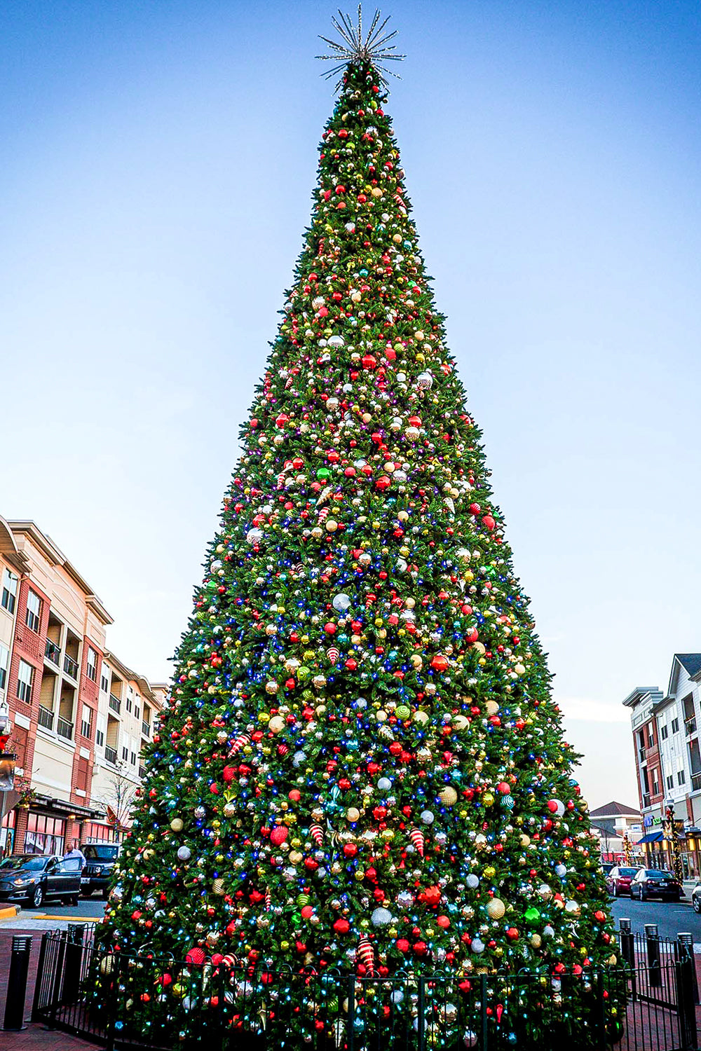 Dekra-Lite Sequoia Christmas Tree Decorated