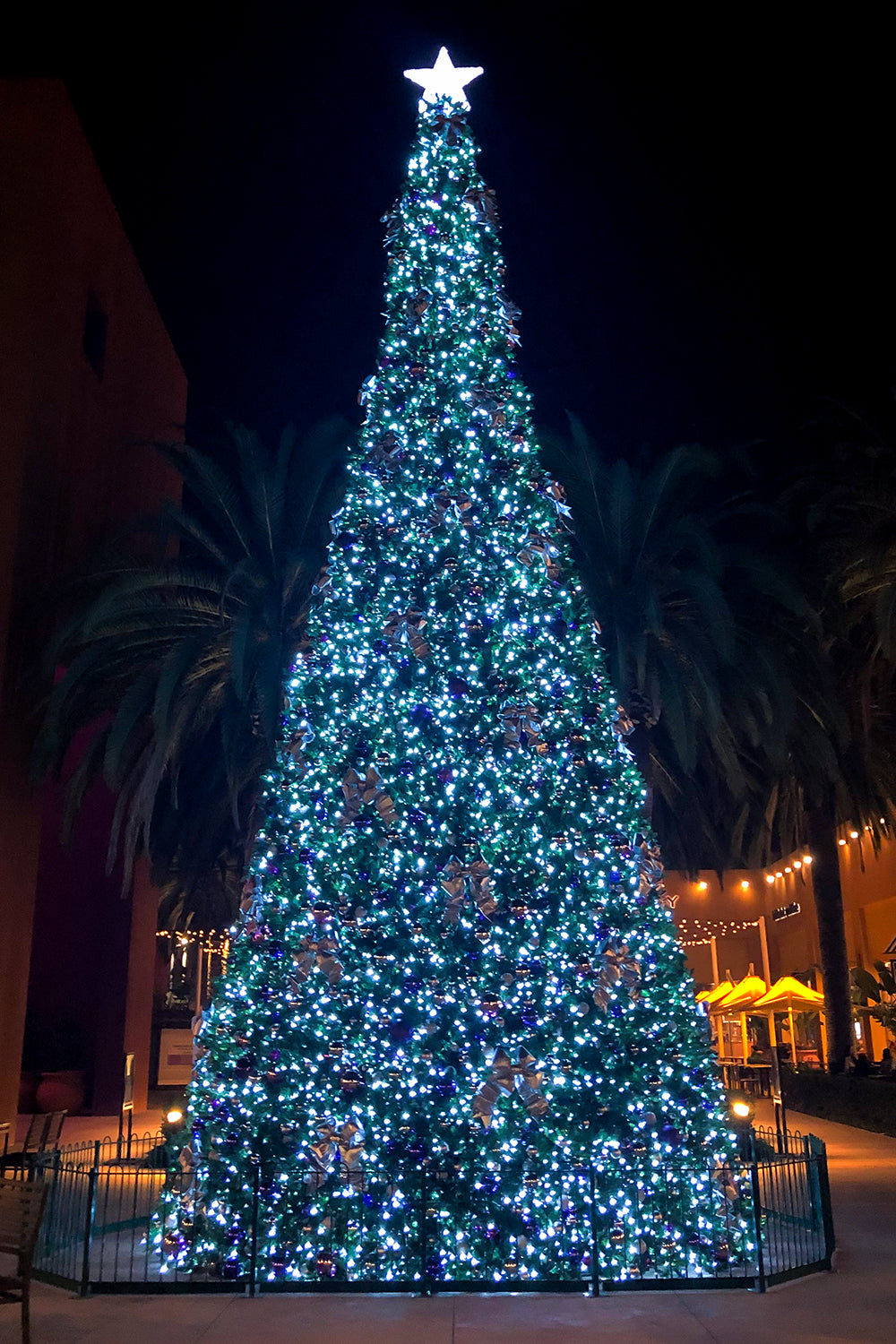 Dekra-Lite Blue Lit Sequoia Christmas Tree