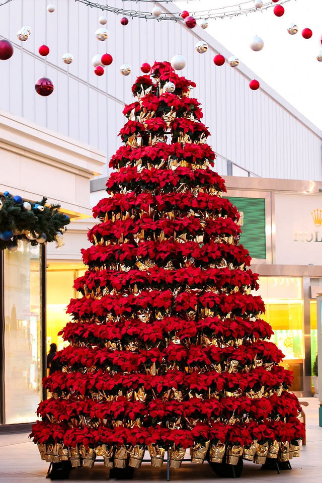 Dekra-Lite Manually Watered Poinsettia Tree