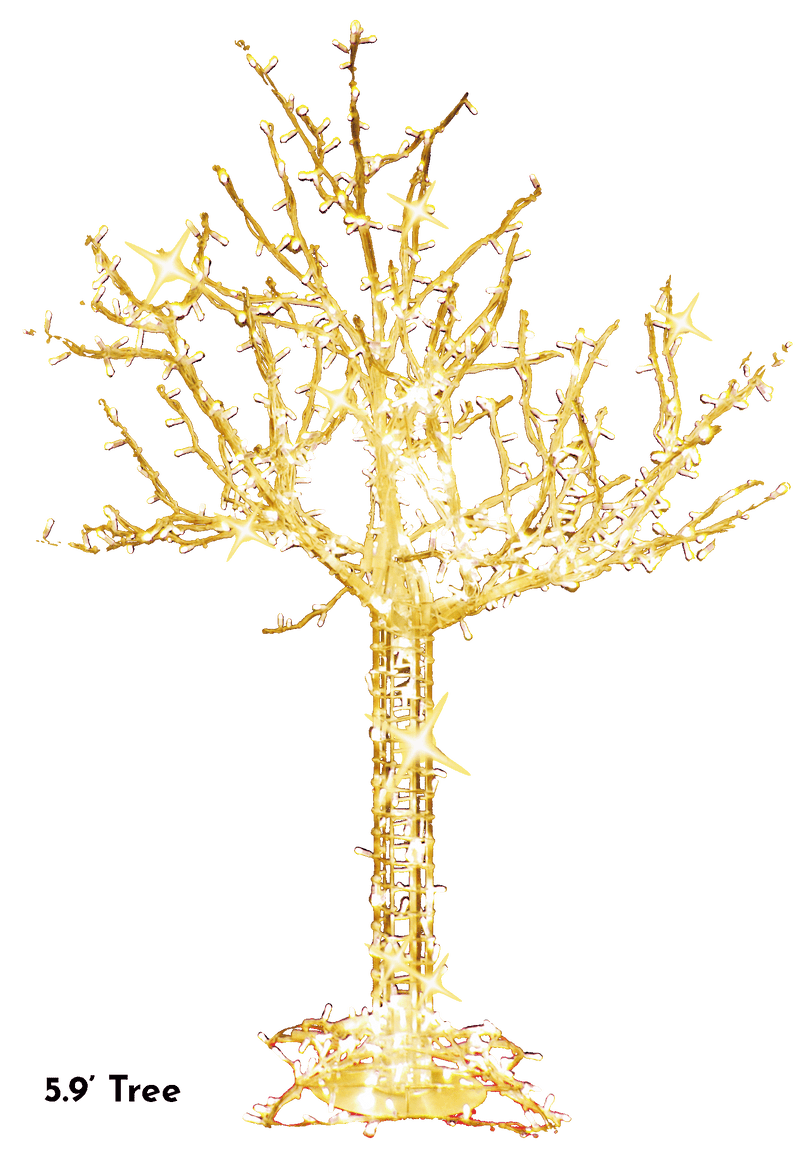 Cumberland Tree