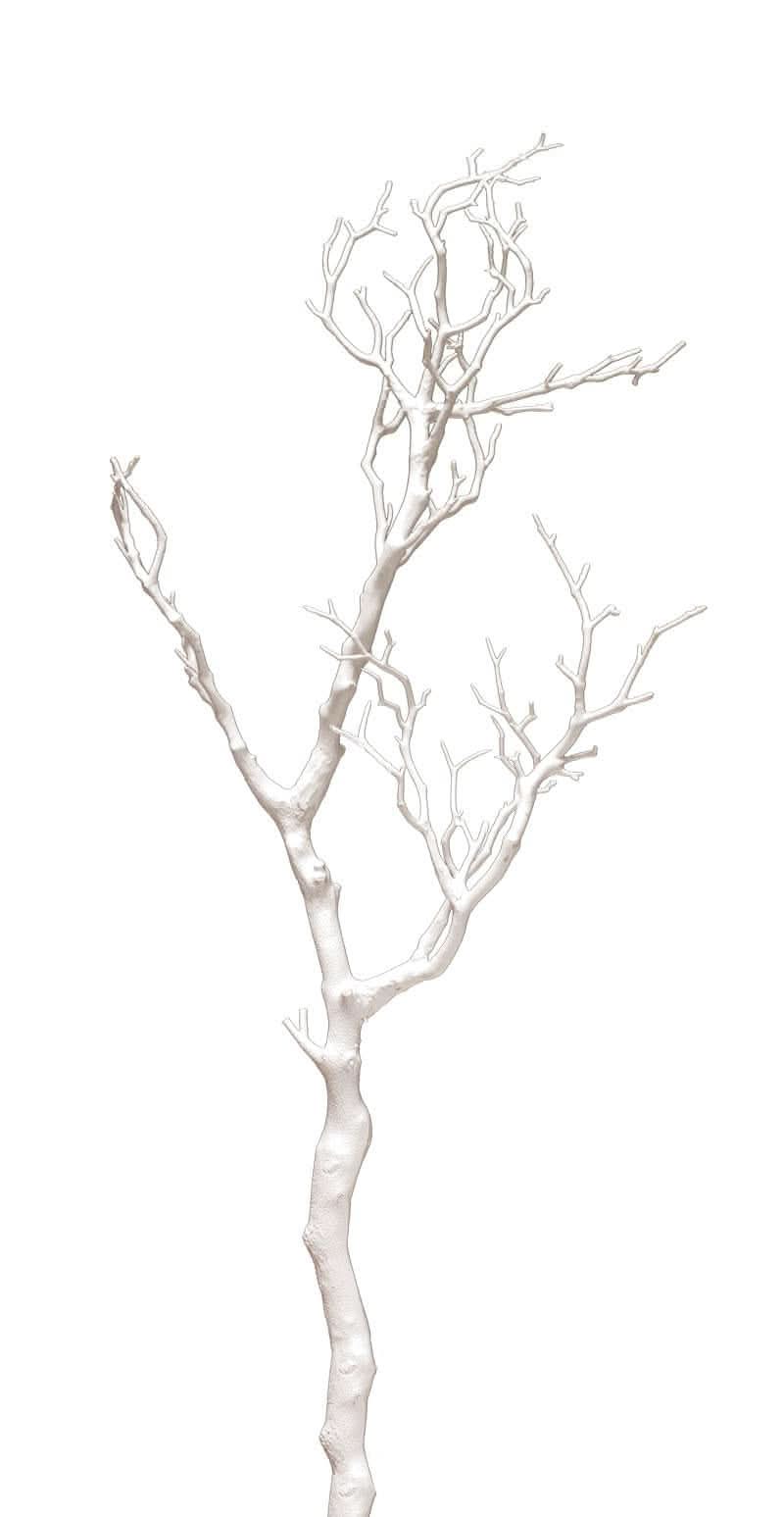 White Bendable Branches