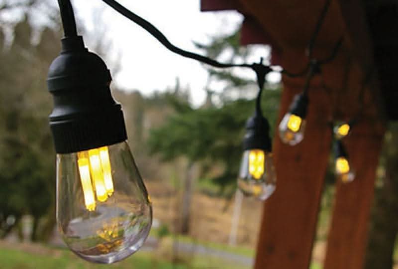 Festival Lighting with 3" Edison Bulbs