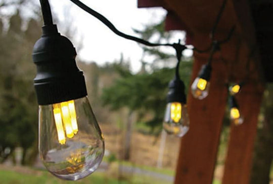 Festival Lighting with 3" Edison Bulbs