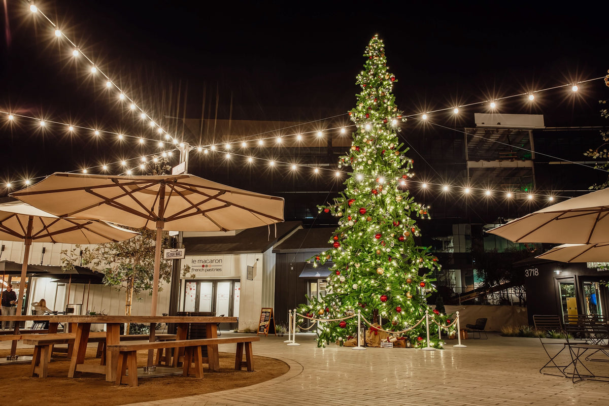 Dekra-Lite Festival Long Life Bulb on Christmas Tree