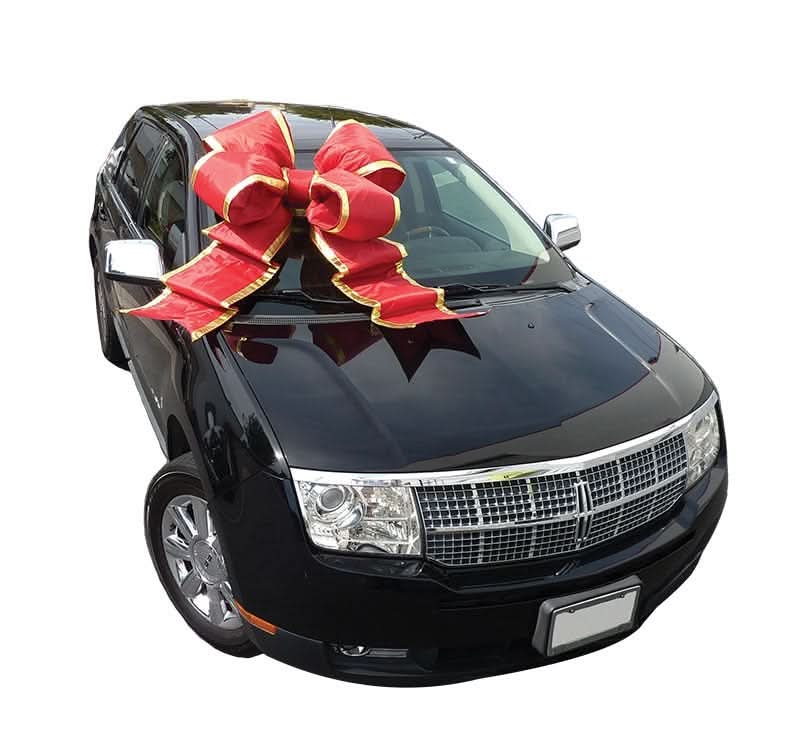 Dekra-Lite Large Red Auto Bow on a Car
