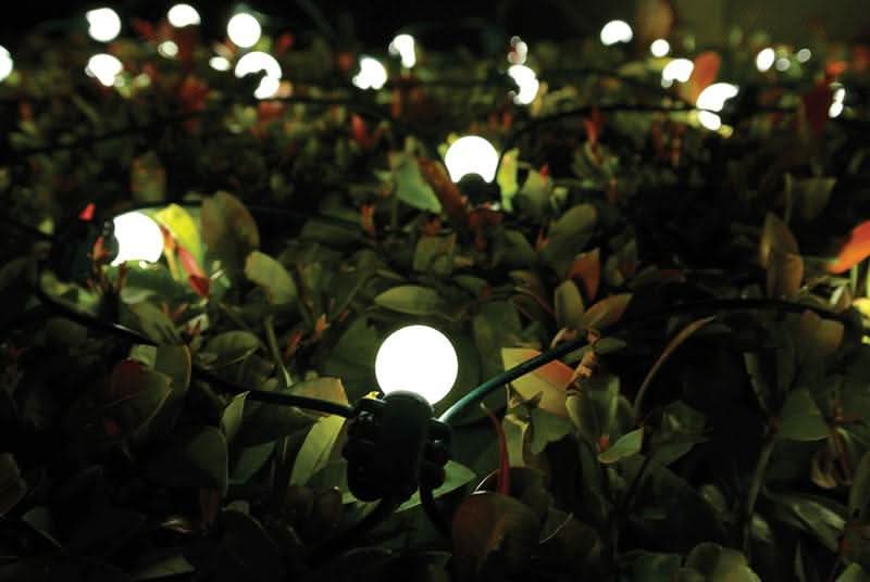 Dekra-Lite LED Net Lights