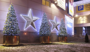 6' 3D Mataro Star