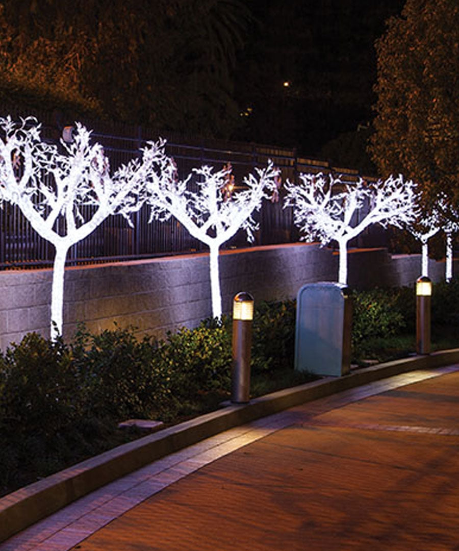 14+ Tree With White Lights