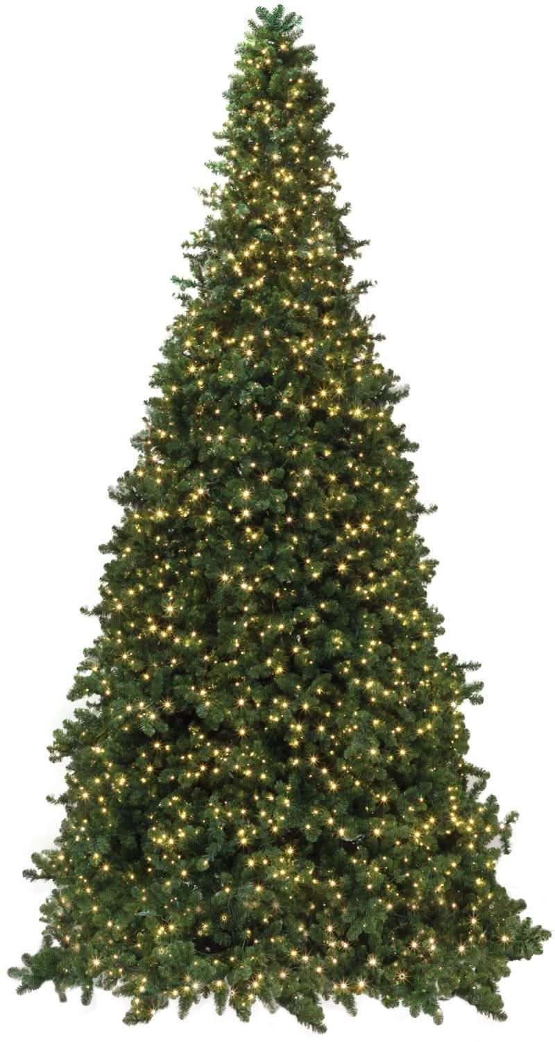 3' x 20 Olympia Pine Prelit Commercial LED Teardrop Christmas Greener