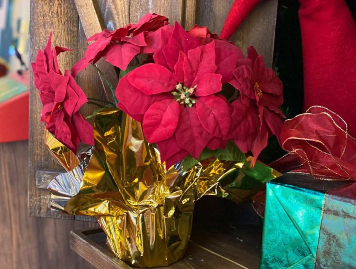 Dekra-Lite Silk Poinsettia Plant in Gold Foiled Pot