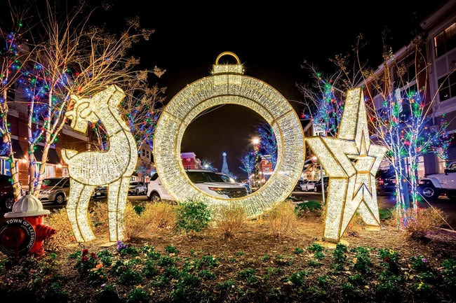 Commercial Holiday Light Display