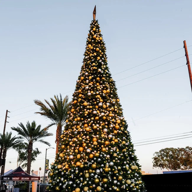 Giant Christmas Trees